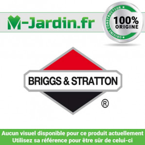 Spring-governed idle Briggs & Stratton 