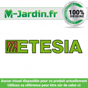Vis de cisaillement Etesia 