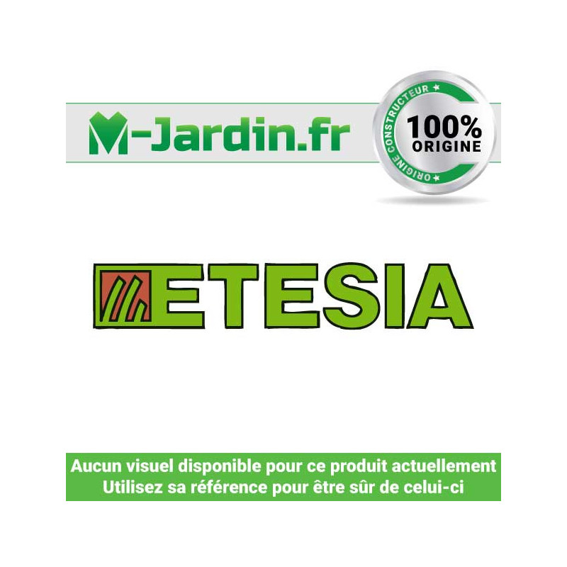 Vis de cisaillement Etesia Vis de cisaillement Etesia