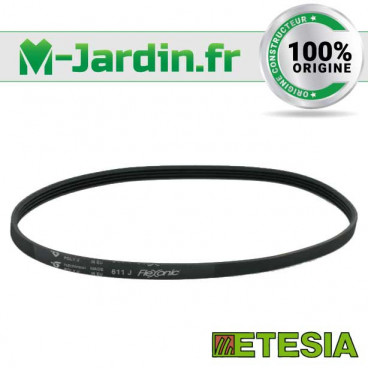 Courroie trapézoidale pour Jet JPT-260-M - Probois machinoutils