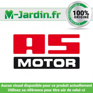 Ecrou spécial AS Motor 