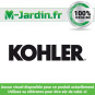 Carburateur complet ch440 - sdmo Kohler 