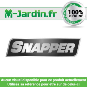 Carburateur Snapper 