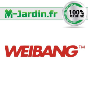 Support roulement g. c. wb537slcv3en1 bbc 2017 Weibang 